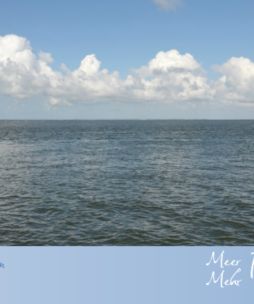 Kunstband Meer/Mehr Perspektiven